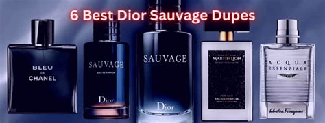 dupe dior shoes|Dior dupes for men.